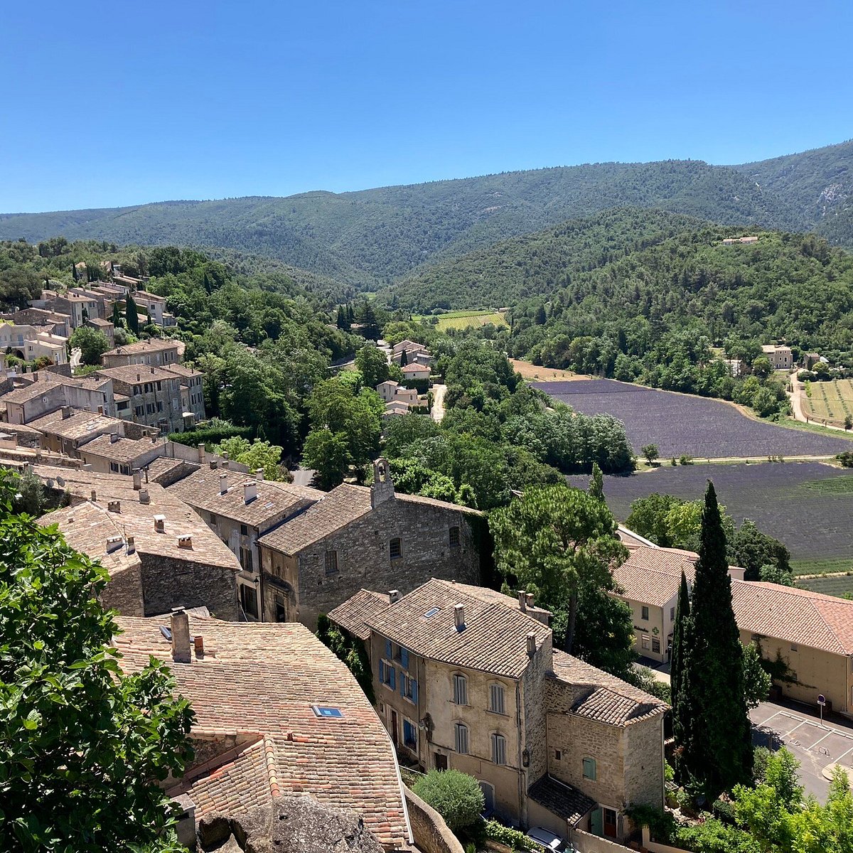 menerbes